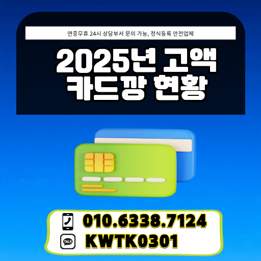 2025년 고액 카드깡 현황
